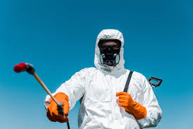 Outdoor Pest Control in Williamson, AZ